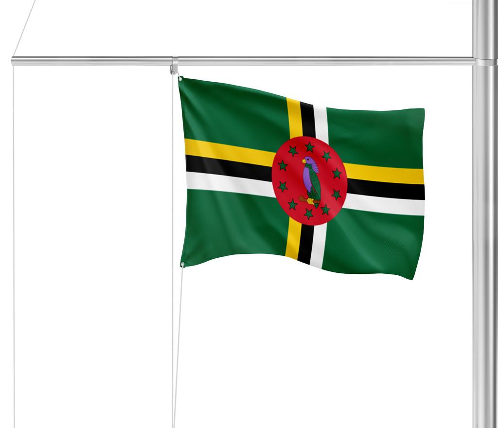 Gastlandvlag Dominica 30x45cm - Glanzend Polyester