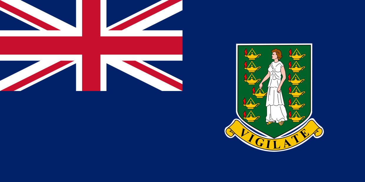 Gastlandvlag British Virgin Islands 30x45cm  Glanzend Polyester