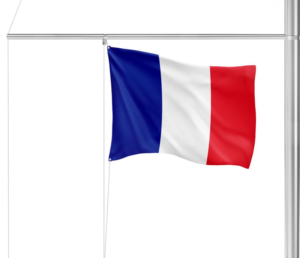Gastlandvlag Frankrijk 20X30cm