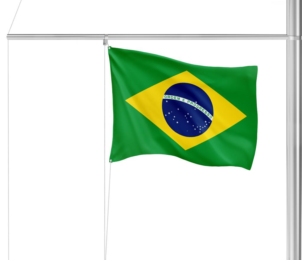 Gastlandvlag Brazilië 20X30cm