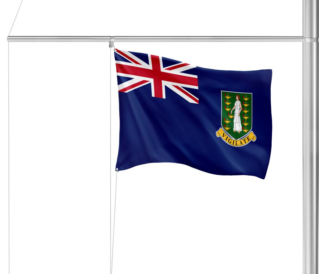 Gastlandvlag British Virgin Islands 20x30cm - Glanzend Polyester 