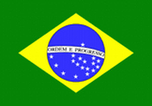 Gastlandvlag Brazilië 30X45cm